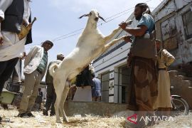 Menilik persiapan menjelang Idul Adha di berbagai negara