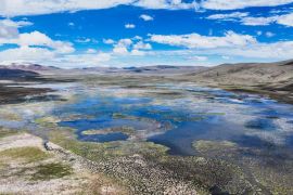 Menilik keragaman burung penghuni Cagar Alam Nasional Longbao Qinghai