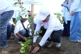 Pelindo tanam 40 ribu pohon peringati Hari Lingkungan Hidup Sedunia