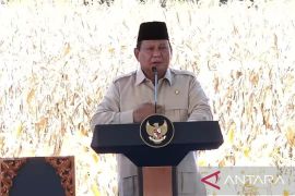 Prabowo: Saya tidak akan tenang sebelum Indonesia swasembada pangan