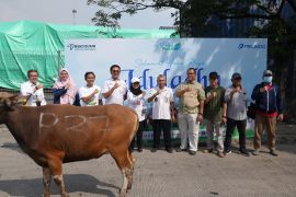 SPSL salurkan hewan kurban ke berbagai wilayah di Indonesia