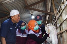Semen Indonesia bagikan 21 ton daging kurban di 20 provinsi