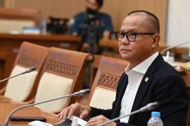 Legislator apresiasi KESDM-KLH respons tegas masalah tambang 