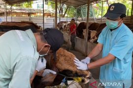 DKI Kemarin, Kurban tak layak konsumsi hingga kebakaran bangkai bus