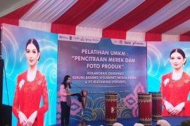 Dekranas: Pelaku UMKM di NTB harus manfaatkan digitalisasi