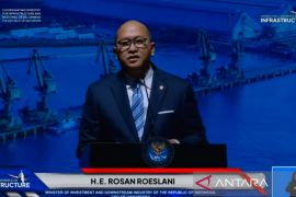 Menteri Rosan sebut potensi energi terbarukan Indonesia capai 3.700 GW