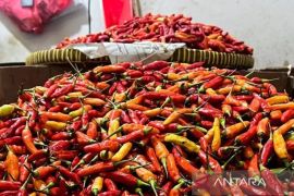 Bapanas: Harga cabai rawit Rp50.963/kg, bawang merah Rp39.642/kg