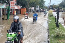 BNPB: Bencana hidrometeorologi picu ratusan korban di awal Juni