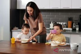 Psikolog sebut istri perlu dukungan agar waras jalani peran
