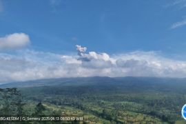 Gunung Semeru erupsi Jumat pagi, tinggi letusan capai 700 meter