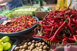 Bapanas: Harga bawang merah Rp39.798/kg, cabai rawit Rp50.523/kg