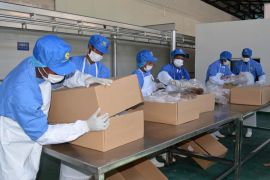 Ekonom: China dukung industrialisasi berkelanjutan Afrika