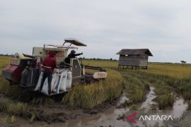 Petani Kabupaten Penajam diminta percepat garap lahan tanam padi