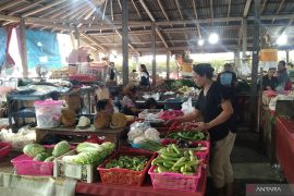 Realisasi KUR di Bali tembus Rp3,25 triliun