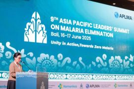 RI upayakan bangun komitmen pemda kejar eliminasi malaria di Papua