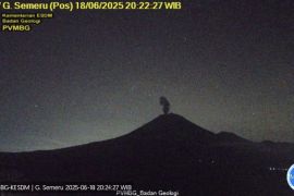 Gunung Semeru erupsi dengan tinggi letusan 800 meter