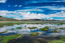Mekanisme penyerapan karbon di Padang rumput Qinghai-Tibet terungkap