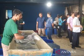 Ditjen Pajak dan Satgassus Polri akan sasar aktivitas 