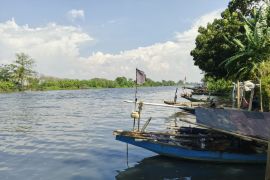 Sungai Ciujung tercemar limbah pabrik, air bau dan tambak warga rusak