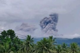 Gunung Dukono di Halmahera Utara kembali erupsi
