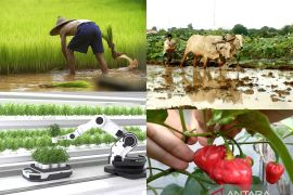 Bertani dalam berbagai versi dan inovasi