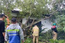 Rumah dan sekolah rusak akibat angin kencang di Aceh Besar