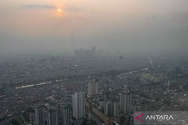 Asap kendaraan, emisi industri dan bakar sampah penyebab utama polusi udara di Jabodetabek