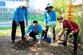 Peringati Hari Lingkungan Hidup Dunia, Pemkab Gowa tanam pohon endemik