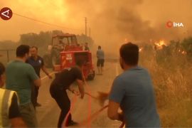 Angin kencang hambat petugas padamkan kebakaran hutan di Izmir