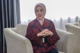 Komisi VIII: Perlu aksi kolektif hadapi data kekerasan perempuan-anak