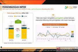 BPS catat peningkatan impor disumbang oleh barang modal
