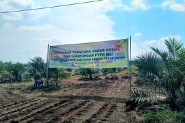 PTPN IV pacu swasembada pangan lewat bantuan 22 ton benih padi