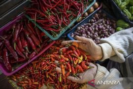 Bapanas: Cabai rawit Rp60.720 per kg, bawang merah Rp42.604 per kg