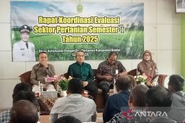 Bantul optimalkan lahan pekarangan ditanami tanaman pangan