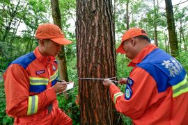 Menilik aktivitas penjaga hutan dalam melindungi hutan di Guizhou