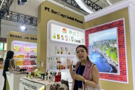 Pelaku industri harapkan penguatan hubungan ekonomi China-Indonesia