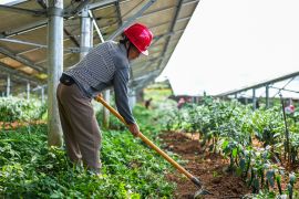 Guizhou dorong pembangunan ekologis untuk tingkatkan kesejahteraan