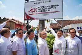 Bapanas: Kopdes Merah Putih jadi penggerak stabilisasi pangan