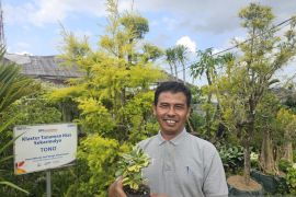 Klaster Tanaman Hias Binaan BRI Jadi Sumber Penghasilan Warga