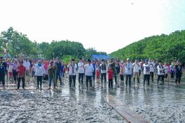 Transjakarta tanam 15 ribu bibit mangrove guna kurangi polusi Jakarta