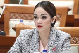 Andina Narang soroti "live streaming" jadi media baru konten vulgar