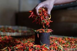 Bapanas: Harga cabai rawit Rp61.169/kg, bawang merah Rp42.494/kg