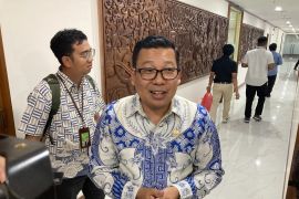 Tak perlu ditarik, Bapanas sarankan peritel jual murah beras oplosan