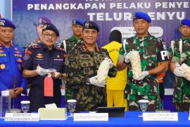 KKP ungkap kerugian penyelundupan telur penyu di Kalbar Rp9,6 miliar