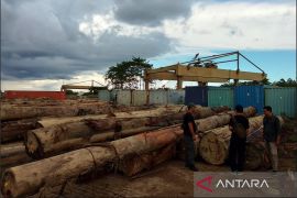 Kemenhut tetapkan lima tersangka kasus peredaran kayu ilegal di Kalbar