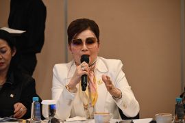 Anggota DPR minta Danantara jadi motor kemandirian industri nasional