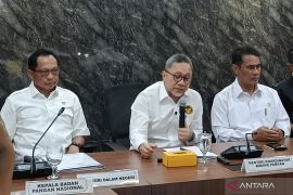 Pemerintah ubah klasifikasi penjualan beras tak lagi berdasar kualitas