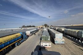 Sebanyak 166 truk bantuan masuk ke Jalur Gaza dalam semalam