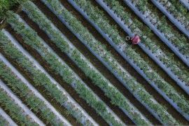 RI tegaskan transisi energi dan iklim sebagai prioritas nasional