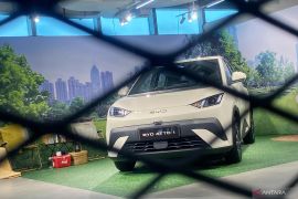 Saingi Wuling dan Aion, mobil listrik murah Atto 1 hadir di RI